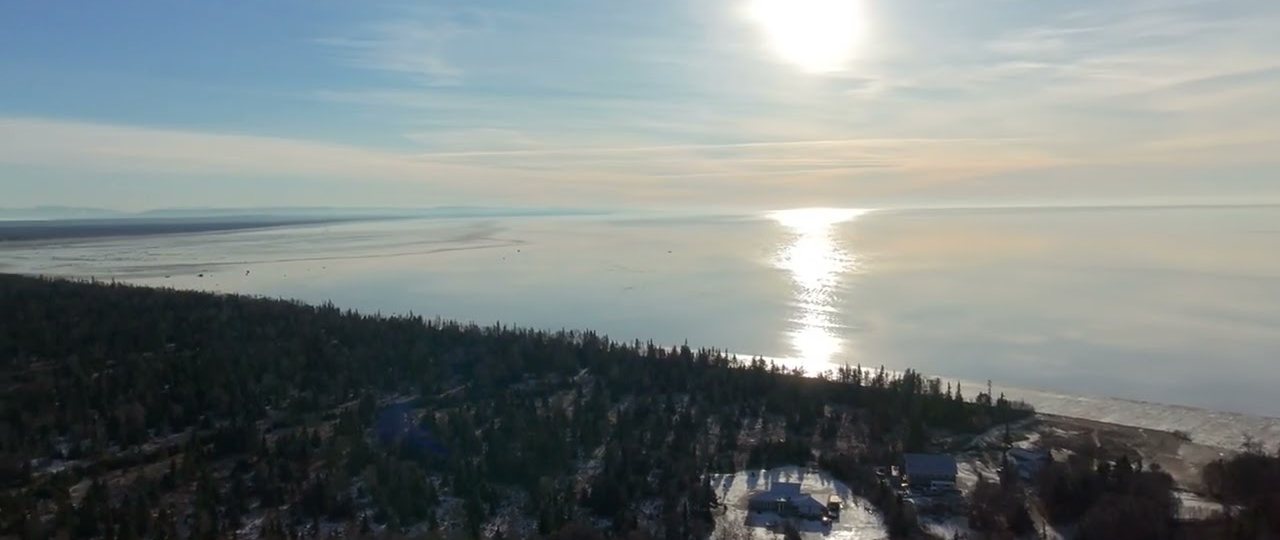 Aerial view of the Nikiski shoreline on Cook Inlet, Alaska, with homes in the spruce trees along the bluff.